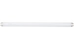 Osram 4008321959638 Линейная люминесцентная лампа BASIC T8 15Вт 6500К G13