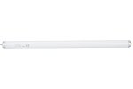 Osram 4008321959621 Линейная люминесцентная лампа BASIC T8 15Вт 4000К G13