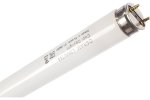 Osram 4008321959836 Линейная люминесцентная лампа BASIC T8 36Вт 6500К G13